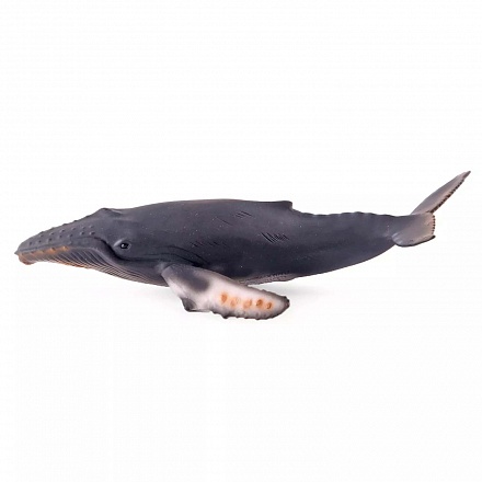 Горбатый кит XL 