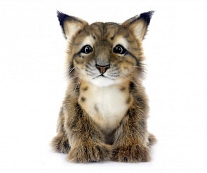 Рысь, 18 см (Hansa, 7505)