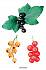 Карточки развивающие - Расскажите детям о садовых ягодах  - миниатюра №6