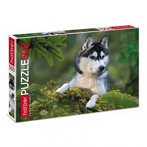 Пазлы 500 элементов – Любимец (Hatber, 500ПЗ2-19292)