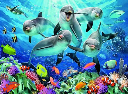 Пазл - Дельфины, 500 деталей 