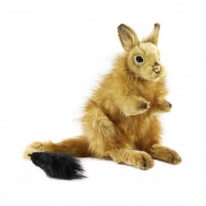 Мягкая игрушка - Капский долгоног, 24 см (Hansa, 5535)