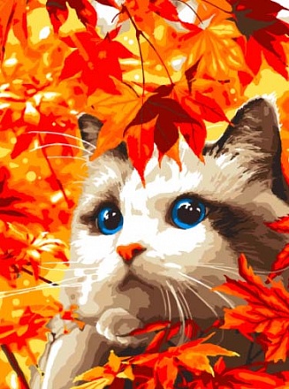 Раскраска по номерам Осенний котик 