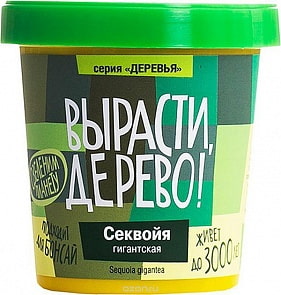 Набор для выращивания растений - Секвойя (Зеленый Капитал, zk-046)