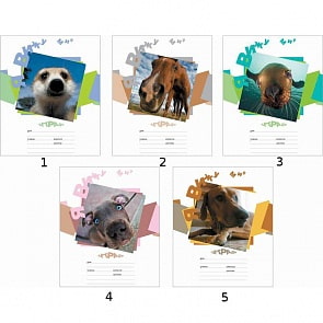 Ученическая тетрадь "Я вижу мир" в клетку, 24 листа (Полиграфика, 35358)