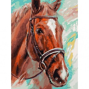 Раскраски по номерам Побегаем, 30 х 40 см (Белоснежка, 271-AS)