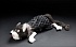 Мягкая игрушка Beasts – Шустрая кошка, 32 см  - миниатюра №5