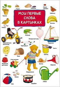 Книга - Мои первые слова в картинках (Росмэн, 31352)