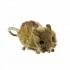 Мягкая игрушка Мышь-землеройка, 14 см.  - миниатюра №4