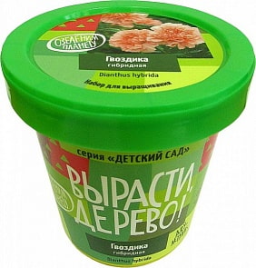 Набор для выращивания растений - Гвоздика гибридная (Зеленый Капитал, zk-066)