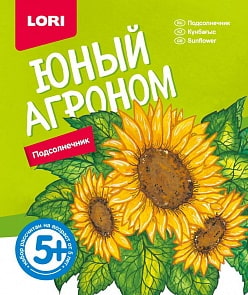 Набор из серии Юный агроном – Подсолнечник (Лори, Р-017)