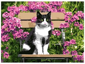 Раскраска по номерам Котик (Lori, Ркн/ф-200)