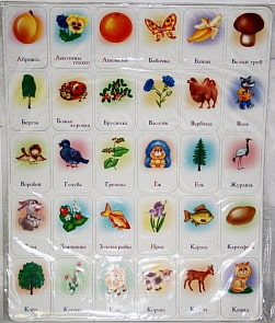 Магнитный Словарик "Живая природа" (ORIGAMI, 2019or)