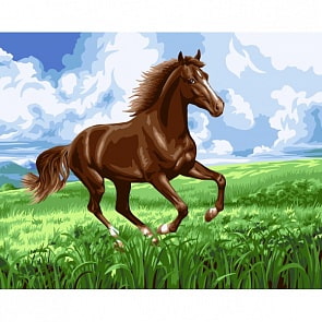 Рисование по номерам на холсте - На просторах (Фабрика Творчества, H091)