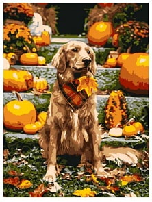 Раскраска по номерам Собака (Lori, Ркн/ф-199)