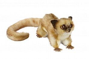 Мягкая игрушка - Серый мышиный лемур, 30 см (Hansa, 7471)