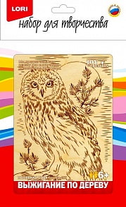 Выжигание в рамке – Полярная сова (Lori, Вр-055)