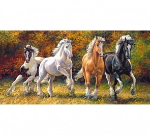 Пазлы Castorland – Лошади, 4000 элементов (Castorland, C-400119)