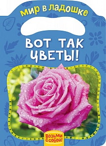 Книга из серии Мир в ладошке – Вот так цветы! (Росмэн, 30838)