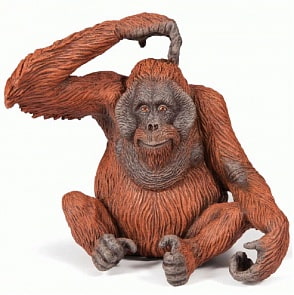 Игровая фигурка - Орангутанг (Papo, 50120_papo)