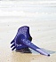 Многофункциональная игрушка для песка и снега Quut Triplet, цвет: глубокий синий Deep Blue  - миниатюра №5