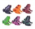 Набор лягушек 6 штук, В мире животных  - миниатюра №3