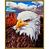 Белоголовый орлан  - миниатюра №2