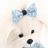 Собачка Lucky Doggy - Lucky Mimi: Джинсовое лето  - миниатюра №2