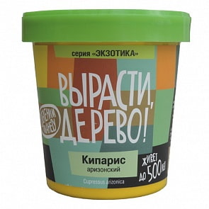 Набор для выращивания растений - Кипарис Аризонский (Зеленый Капитал, zk-056)