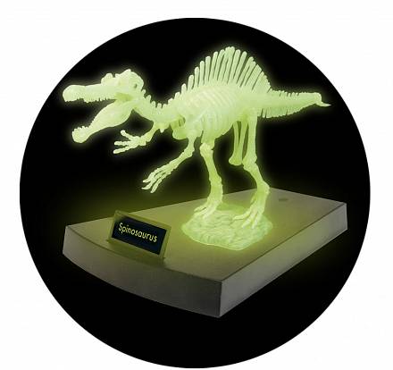 Сборная модель - светящаяся скелет Спинозавра 