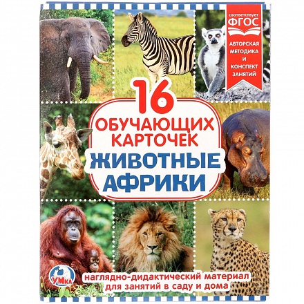Карточки в папке – Животные Африки, 16 карточек 