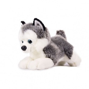 Мягкая игрушка - Щенок Хаски, 20 см (Gulliver, 76-2127-6MB)