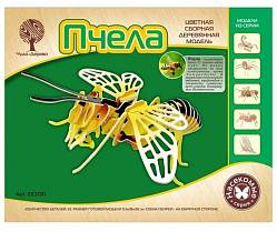 Модель деревянная сборная - Пчела (Wooden Toys, E030) - миниатюра