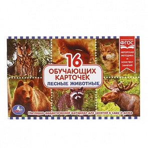 Карточки в папке - Лесные животные (Умка, 4690590122785sim)
