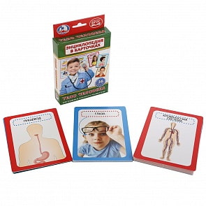 Развивающие карточки – Тело человека, 36 штук (Умка, 4690590144183sim)