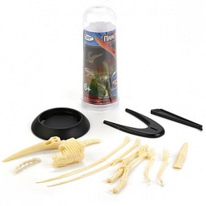 Сборная модель из серии Парк динозавров – Скелет динозавра. Птеродактиль (Играем Вместе, Z5AH521-5sim)