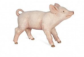 Фигурка - Поросенок (Papo, 51136_papo)