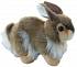 Мягкая игрушка – Кролик, 23 см  - миниатюра №1