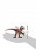 Фигурка динозавра – Ютараптор, 21 см.  - миниатюра №2