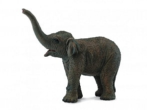 Фигурка – Азиатский слонёнок, S (Collecta Gulliver, 88487b)