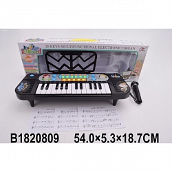 Синтезатор на батарейках, 25 клавиш, с микрофоном 8814A (B1820809) - миниатюра