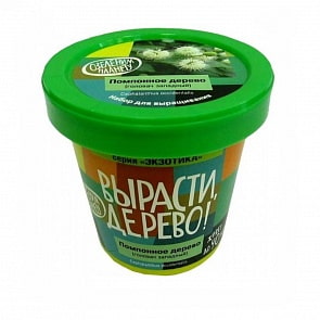 Набор для выращивания растений - Помпонное дерево (Зеленый капитал, zk-060)