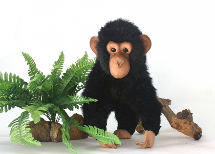 Шимпанзе, 30 см 