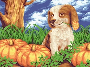 Рисование по номерам на холсте - Тыквенный Урожай, 40 х 50 см (Фабрика Творчества, S044)