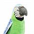 Мягкая игрушка – Зеленый попугай, 37 см  - миниатюра №1