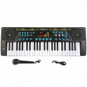 Электроорган с микрофоном, 49 клавиш (B1575009)