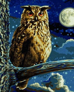 Картина для раскрашивания - Филин, 24х30 см. (Schipper, 9240703)