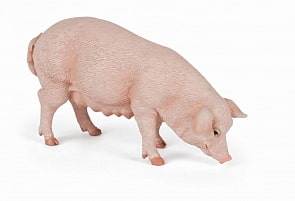 Фигурка – Свинья, размер 8 х 4 х 5 см. (Papo, 51135_papo)