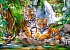 Пазлы Castorland – Тигры, 300 элементов  - миниатюра №1