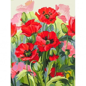 Раскраски по номерам - Восхитительные маки, 30 х 40 см (Белоснежка, 151-AS-no_)